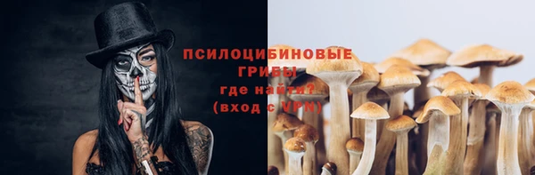 МДПВ Михайлов