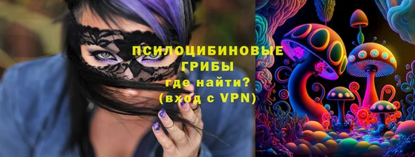 МДПВ Михайлов