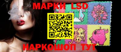 шишки Славгород