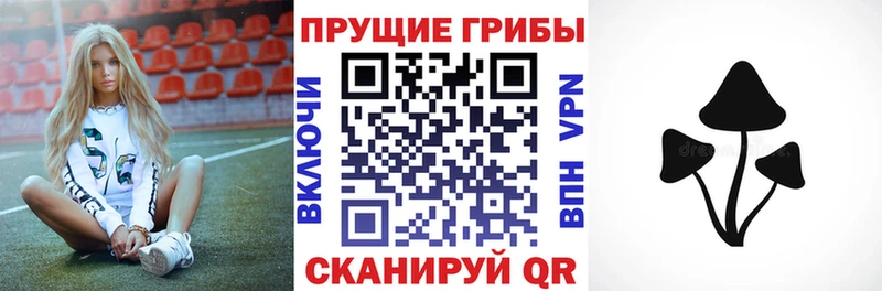 наркотики Саратов Псилоцибиновые грибы MAGIC MUSHROOMS