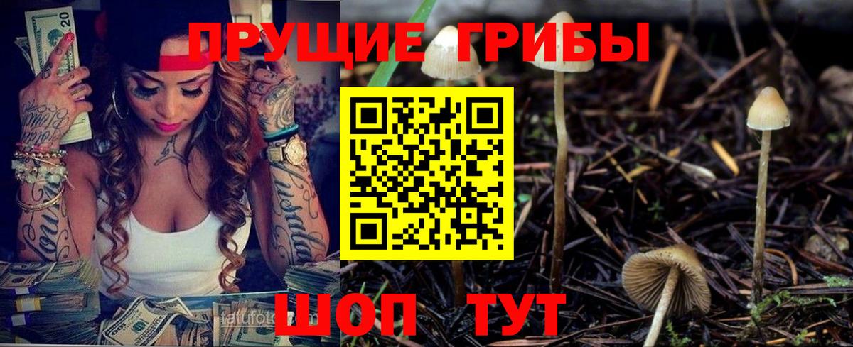 наркота  Галлюциногенные грибы прущие грибы  Вход с VPN  Саратов 