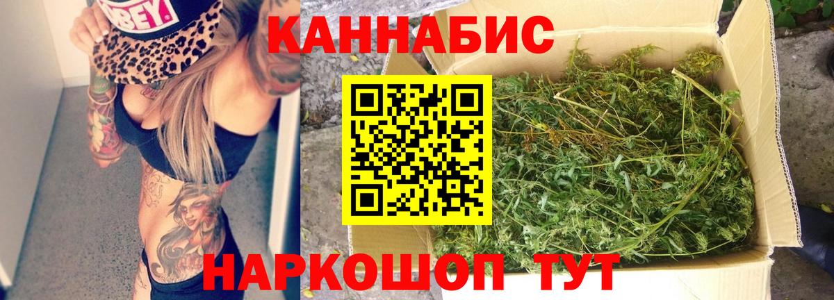 Саратов  Конопля конопля  МАРИХУАНА семена  Вход с VPN 